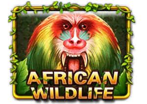 mega888-african-wildlife